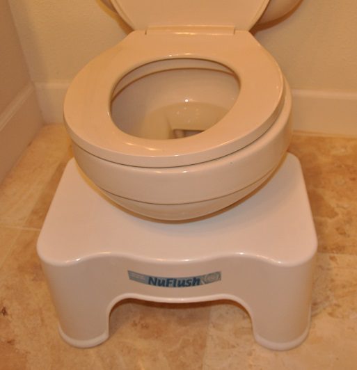 The Toilet Stool