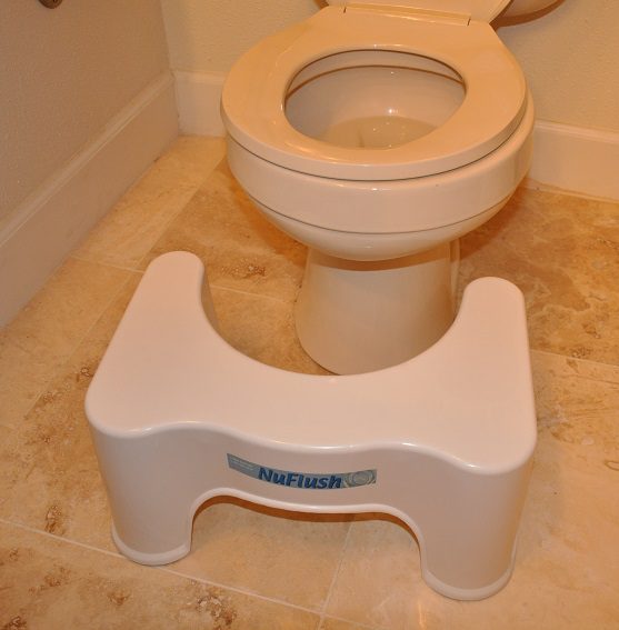 The Toilet Stool